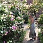 Ellen Gottfridsson - @ellengottfridsson - Instagram