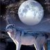 Ellen Gow - Facebook