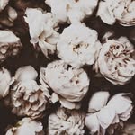 Musgrove Goldstone - @ellen_gow_176 - Instagram