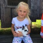 @ellen_graffw - Instagram
