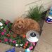 Ellen Greenfield-osiadacz - Facebook