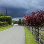 Ellen Greer - @ellen.greer.501 - Instagram