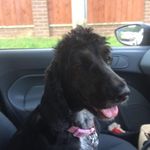 Ellen Griffiths - @ellen.webb.313924 - Instagram