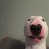 Ellen - @ellengrimes04 - TikTok