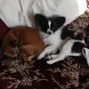 Ellen Groves - @ellen.groves - TikTok