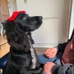 Ellen Groves - Facebook