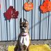 Ellen Gruber - Facebook