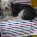 Ellen Gruber - Facebook