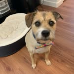 Ellen gruwell - @gruwell.ellen - Instagram