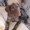 Ellie - @ellieguilford - TikTok