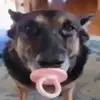 Ella Jane Gunter - @ellitaguntaro - TikTok