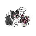 Zhengxi - @ellenguo - Instagram