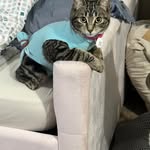 Ellen Gustafson - @76mamag - Instagram