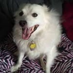 Ellen Guthrie - @ellengut8874 - Instagram