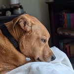 Ellen Guthrie - @minymew - Instagram