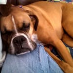 Ellen Guy - @beechbaby_rv_travels - Instagram