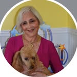 Ellen Collins Guyer - @ellen_collins_guyer1 - Instagram