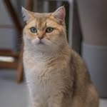 Ellen Haas - @ellenhaas546 - Instagram