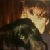 Ellen Hack - Facebook