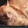 kelleys other Account - @kellenhackney - TikTok
