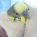 Ellen Hadley - Facebook