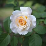 Ellen McGrath Hagerty - Facebook