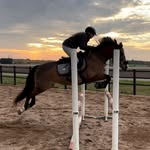 ELLEN HAGMAN - @ellenhagman21 - Instagram