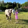 ELLEN HAGMAN - @ellenhagmaan - TikTok