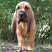 Ellen Hale - Facebook