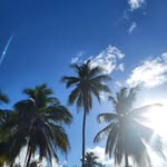 Ellen Hale - @ellenhale1456 - Instagram