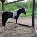 Ellen Halverson - Facebook