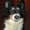 Ellen Hamaker - @ellenhamaker - TikTok