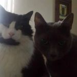 Ellen Haney - @haney4283 - Instagram