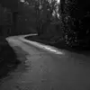 EllenHaney - @ellenhaney0 - TikTok