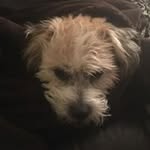 Ellen Hanson - @ellen.hanson.75 - Instagram