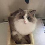 Ellen Hardy - @ellen.hardy.372 - Instagram