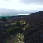 Ellen Hardy - @elliehardy33 - Instagram