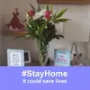 Ellen Harvey - @ellenharvey5 - TikTok