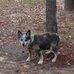 Ellen Heck - Facebook