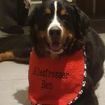 Ellen Hess - @hessellen - Instagram