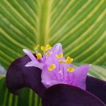 Mary-Ellen Hester - @werfmly5 - Instagram