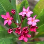 Ellen Stringfield Hobgood - @ellenstringfieldhobgood - Instagram