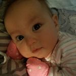 Ginny Jo Ellen Hollis - @ginnyjohollis56 - Instagram