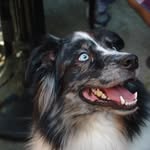 Ellen Houck Bradley - @lnmchlgso - Instagram