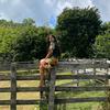 Ellenhouse - @ellen__house - TikTok