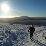 Ellen Howells - @ellenhowells6346 - Instagram