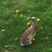 Ellen Hawley - Facebook