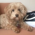Ellen Hoy - @ellenhoy1 - Instagram