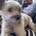 Eileen Hackett - Facebook