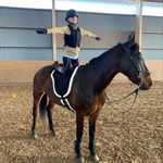 Ellen Hultgren - @equiellen12 - Instagram